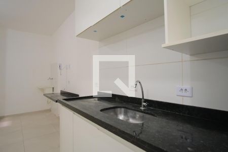 Cozinha de apartamento para alugar com 1 quarto, 22m² em Cidade Mãe do Céu, São Paulo