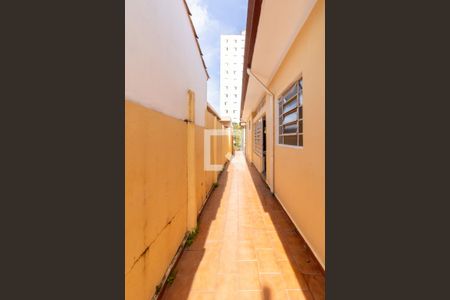 Corredor Lateral de casa à venda com 3 quartos, 376m² em Vila Harmonia, Guarulhos