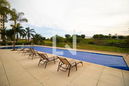 Área comum - Piscina de apartamento para alugar com 3 quartos, 135m² em Vila Brandina, Campinas