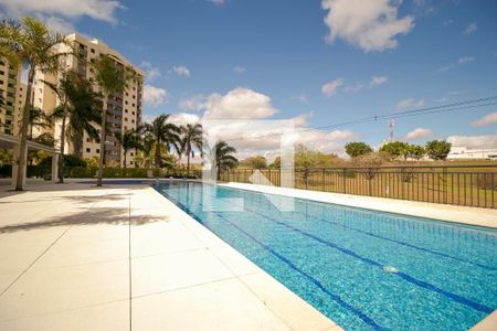 Área comum - Piscina de apartamento para alugar com 3 quartos, 135m² em Vila Brandina, Campinas