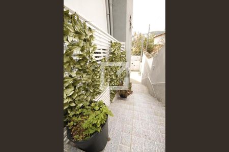 Escada externa de casa à venda com 3 quartos, 200m² em Parque Sao Jose, Belo Horizonte