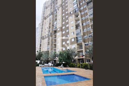 Área comum - Piscina de apartamento à venda com 2 quartos, 53m² em Jardim Iris, São Paulo