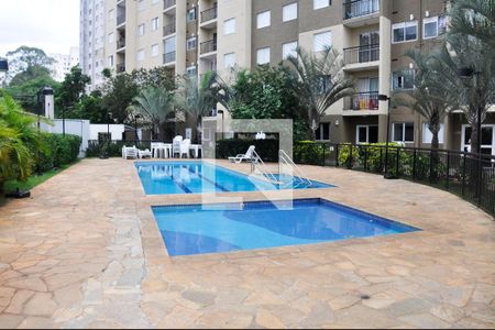 Área comum - Piscina de apartamento à venda com 2 quartos, 53m² em Jardim Iris, São Paulo
