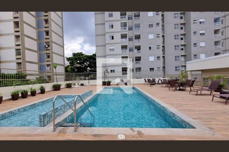 Área comum - Piscina de apartamento para alugar com 2 quartos, 52m² em Paraíso do Morumbi, São Paulo