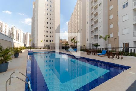 Área comum - Piscina de apartamento para alugar com 2 quartos, 43m² em Jardim Ipaussurama, Campinas