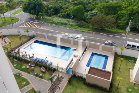 Área comum - Piscina de apartamento para alugar com 2 quartos, 43m² em Jardim Ipaussurama, Campinas