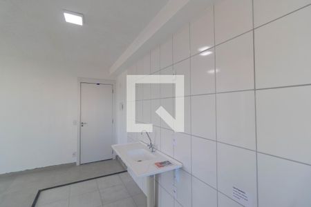 Cozinha de apartamento para alugar com 2 quartos, 43m² em Jardim Ipaussurama, Campinas