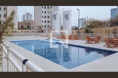 Área comum - Piscina de apartamento para alugar com 2 quartos, 45m² em Várzea da Barra Funda, São Paulo