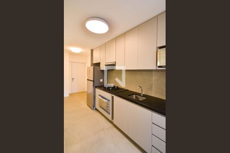 Cozinha de apartamento para alugar com 1 quarto, 55m² em Lourdes, Belo Horizonte