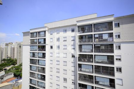 Vista da Varanda da Sala de apartamento à venda com 2 quartos, 49m² em Cambuci, São Paulo