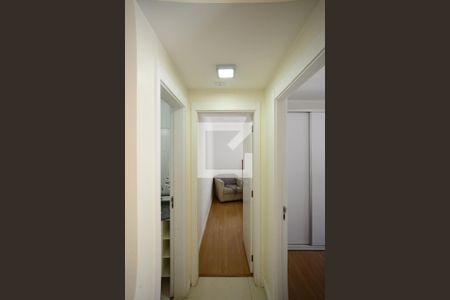 Corredor de apartamento à venda com 2 quartos, 49m² em Cambuci, São Paulo