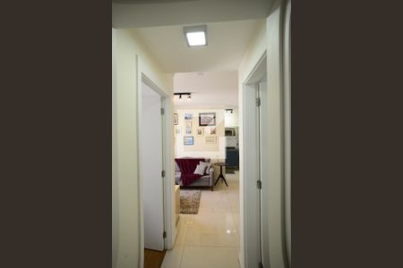 Corredor de apartamento à venda com 2 quartos, 49m² em Cambuci, São Paulo