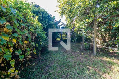 Quintal de casa para alugar com 1 quarto, 70m² em Santa Tereza, Porto Alegre