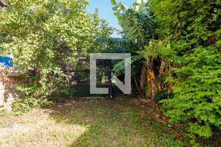 Quintal de casa para alugar com 1 quarto, 70m² em Santa Tereza, Porto Alegre