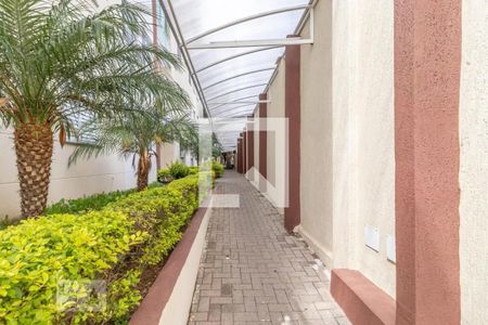 Área comum de apartamento para alugar com 2 quartos, 49m² em Vila Ré, São Paulo