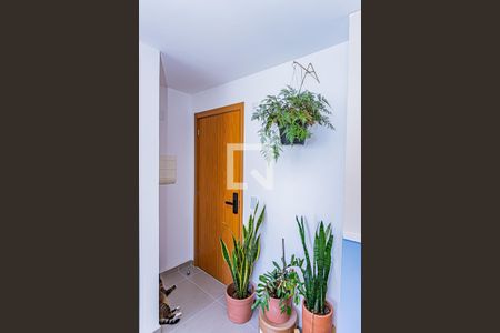Entrada de apartamento para alugar com 2 quartos, 44m² em Jardim Iris, São Paulo