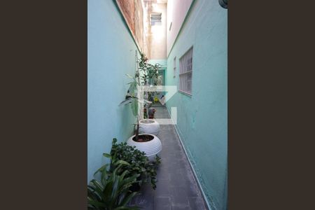 Quintal de casa à venda com 3 quartos, 110m² em Jardim Guarapiranga, São Paulo