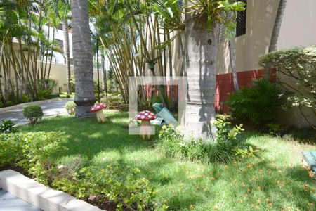 Área comum de apartamento para alugar com 2 quartos, 52m² em Cidade Ademar, São Paulo