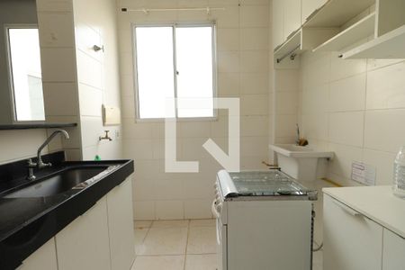 Cozinha de apartamento para alugar com 2 quartos, 48m² em Jardim Silvio Passalacqua, Ribeirão Preto