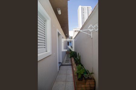 Quintal de casa à venda com 3 quartos, 330m² em Freguesia do Ó, São Paulo