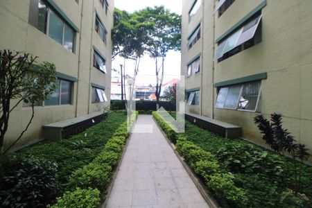 Área Comum de apartamento à venda com 2 quartos, 50m² em Mandaqui, São Paulo