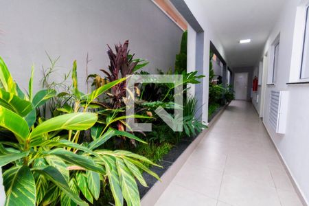 Área Comum de apartamento à venda com 2 quartos, 38m² em Jardim Aricanduva, São Paulo