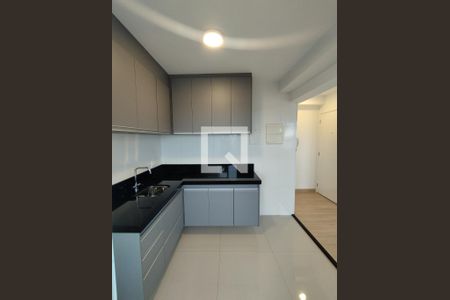 Cozinha - Armários de apartamento para alugar com 1 quarto, 36m² em Jardim Celeste, São Paulo