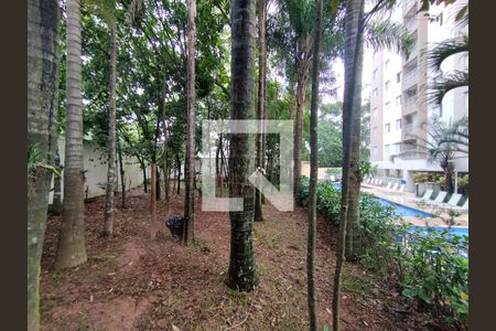 Área comum Verde de apartamento para alugar com 1 quarto, 36m² em Jardim Celeste, São Paulo