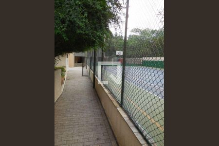 Apartamento à venda com 3 quartos, 95m² em Vila Indiana, São Paulo