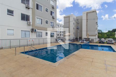 Área comum - Piscina de apartamento para alugar com 2 quartos, 55m² em Igara, Canoas