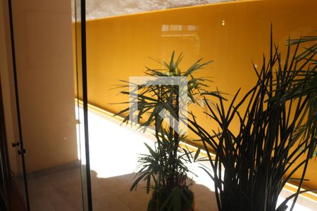 Quintal de casa para alugar com 4 quartos, 382m² em Campestre, Santo André