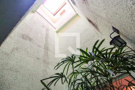 Jardim de inverno de casa para alugar com 3 quartos, 180m² em Conjunto Residencial José Bonifácio, São Paulo