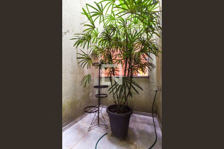 Jardim de inverno de casa para alugar com 3 quartos, 180m² em Conjunto Residencial José Bonifácio, São Paulo