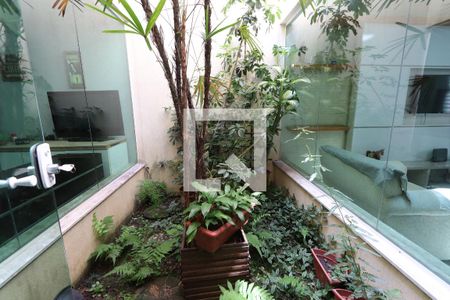 Jardim de Inverno de casa à venda com 3 quartos, 197m² em Vila Bela, São Paulo