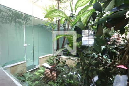 Jardim de Inverno de casa à venda com 3 quartos, 197m² em Vila Bela, São Paulo