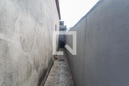Área Privativa de casa à venda com 2 quartos, 199m² em Maria Virgínia, Belo Horizonte