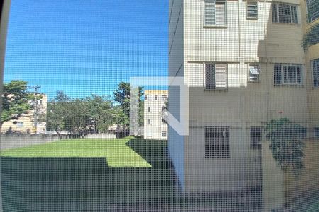 Vista do Quarto 1 de apartamento para alugar com 2 quartos, 57m² em Parque Residencial Vila União, Campinas