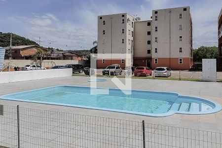 Área comum - Piscina de apartamento para alugar com 2 quartos, 62m² em Morro do Espelho, São Leopoldo