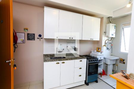 cozinha de apartamento para alugar com 2 quartos, 44m² em Jardim Boa Vista (zona Oeste), Osasco