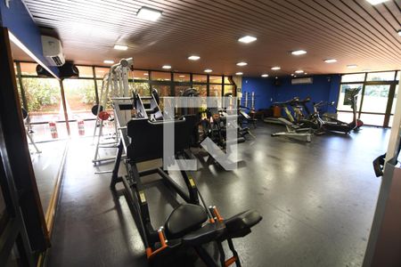 Área comum - Academia de casa de condomínio para alugar com 4 quartos, 398m² em Vila Hollândia, Campinas