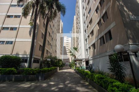 Área comum de apartamento à venda com 2 quartos, 59m² em Parque Paineiras, São Paulo