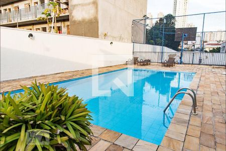 Área comum - Piscina de apartamento à venda com 3 quartos, 74m² em Vila da Saúde, São Paulo