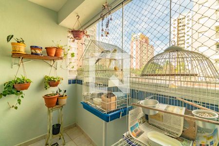 Varanda da Sala de apartamento à venda com 3 quartos, 73m² em Vila da Saúde, São Paulo