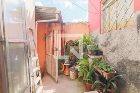 Quintal de casa para alugar com 2 quartos, 63m² em Vila Tiradentes, São Paulo