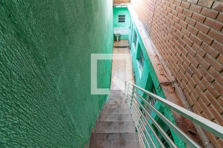Escada de casa para alugar com 1 quarto, 24m² em Vila Espanhola, São Paulo