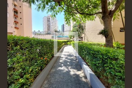 Área comum de apartamento à venda com 2 quartos, 48m² em Vila Constanca, São Paulo