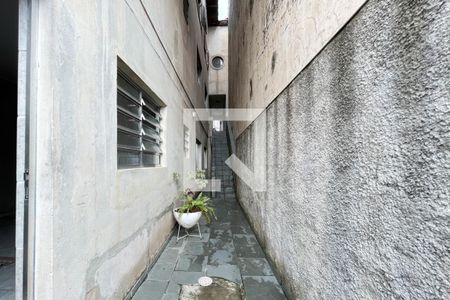 Quintal de casa à venda com 3 quartos, 250m² em Nova Petrópolis, São Bernardo do Campo