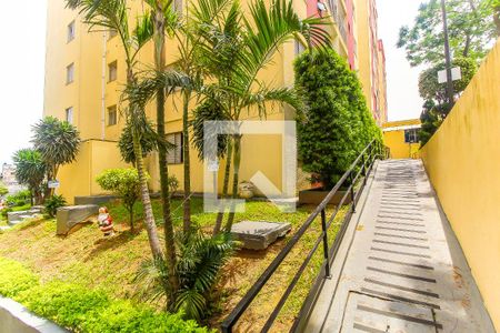 Área Comum de apartamento para alugar com 2 quartos, 48m² em Jardim Norma, São Paulo