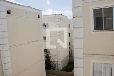 Vista da Cozinha de apartamento para alugar com 2 quartos, 44m² em Jardim Silvio Passalacqua, Ribeirão Preto