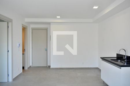 Sala/Cozinha de apartamento para alugar com 1 quarto, 37m² em Vila da Saúde, São Paulo